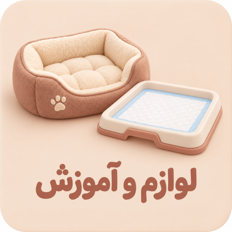 لوازم و آموزش
